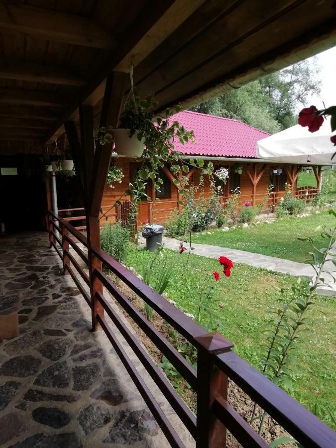 Pensiunea La Busu -Bigar Hotel Bozovici Exterior photo